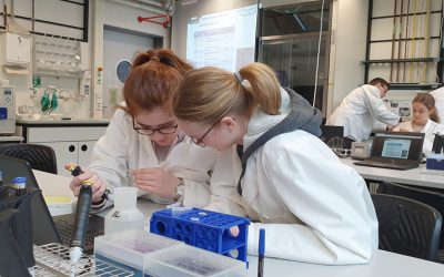 Biologie Leistungskurs zu Besuch im Teutolab der Uni Bielefeld